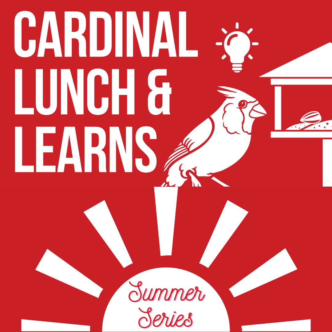 Lunch Learn Summer Series