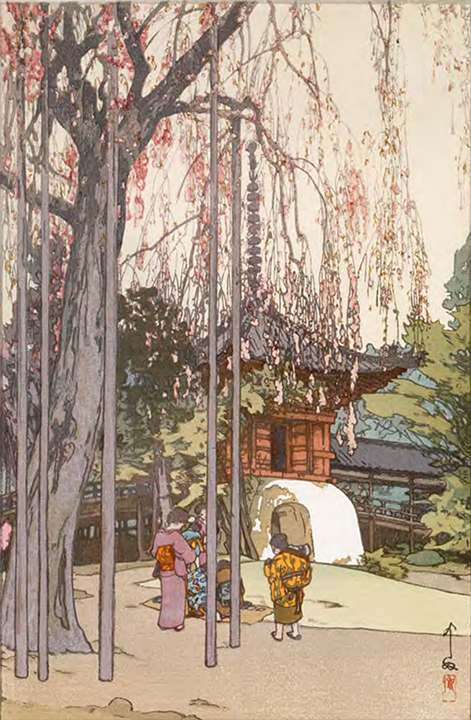 エデンのヒロセPale-Studio　ベジータ エデンのヒロセPale-Studio ベジータ エデンのヒロセPale-Studio