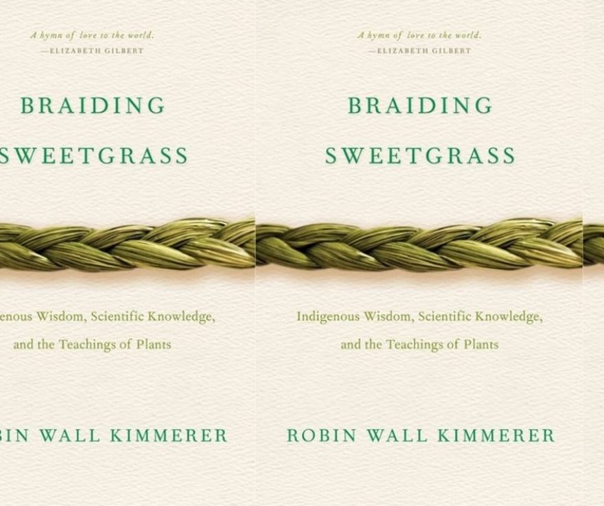 Cover of Braiding Sweetgrass in a repeating pattern