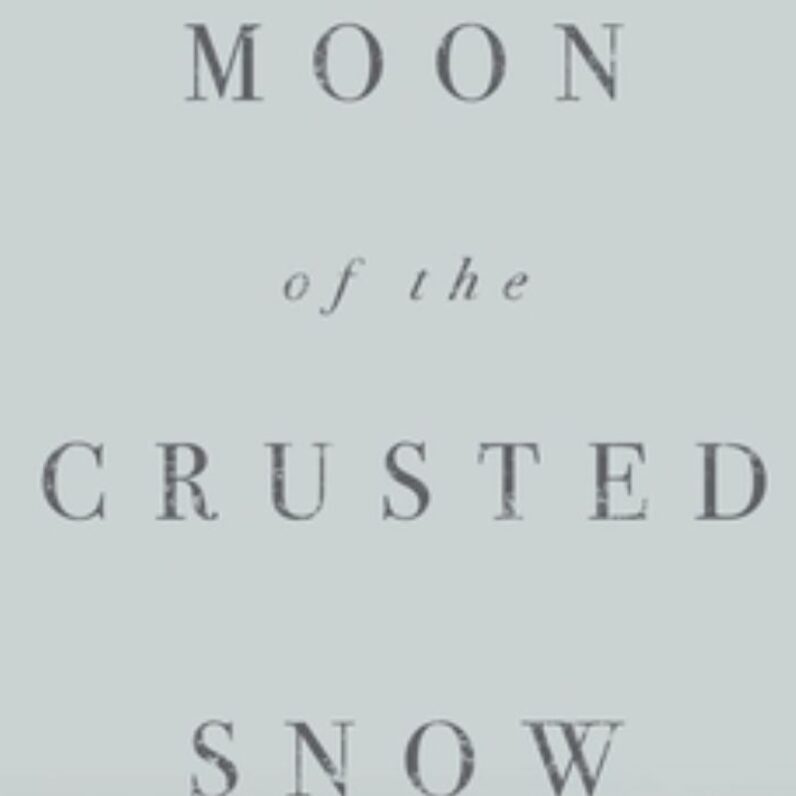 The portion of the cover of Moon of the Crusted Snow. The cover is a pale blue/gray color and the title is visible.