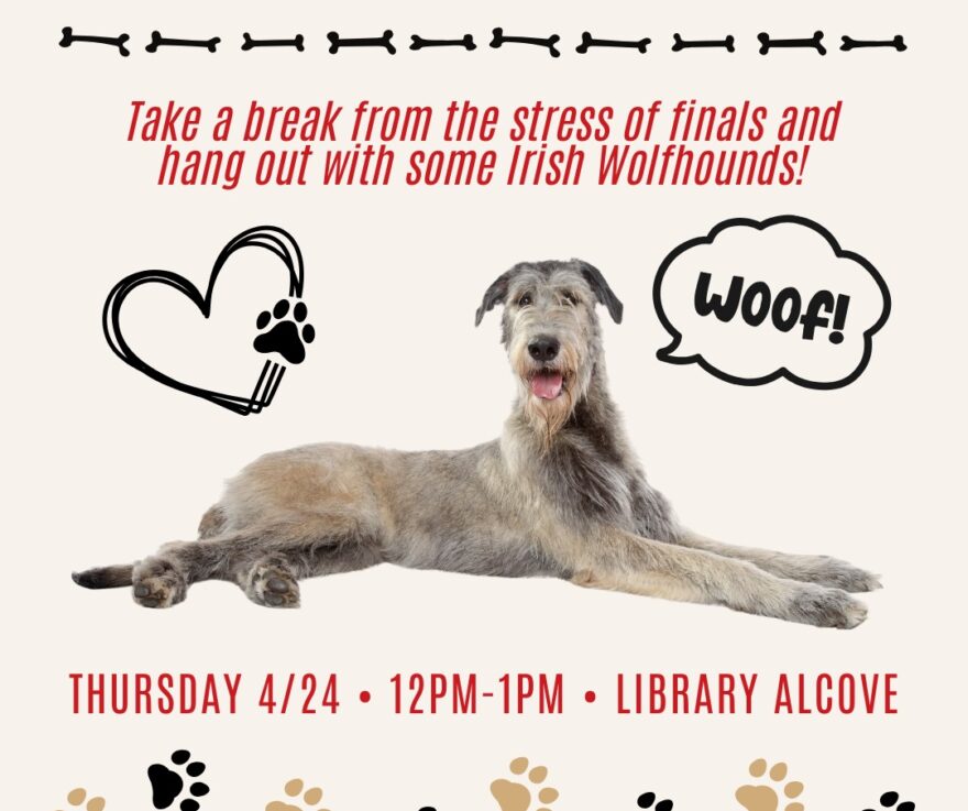 An Irish Wolfhound against a pink background with a heart and a speech bubble that says 