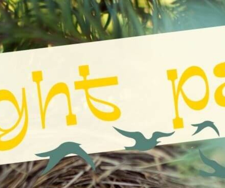 Flight Path logo
