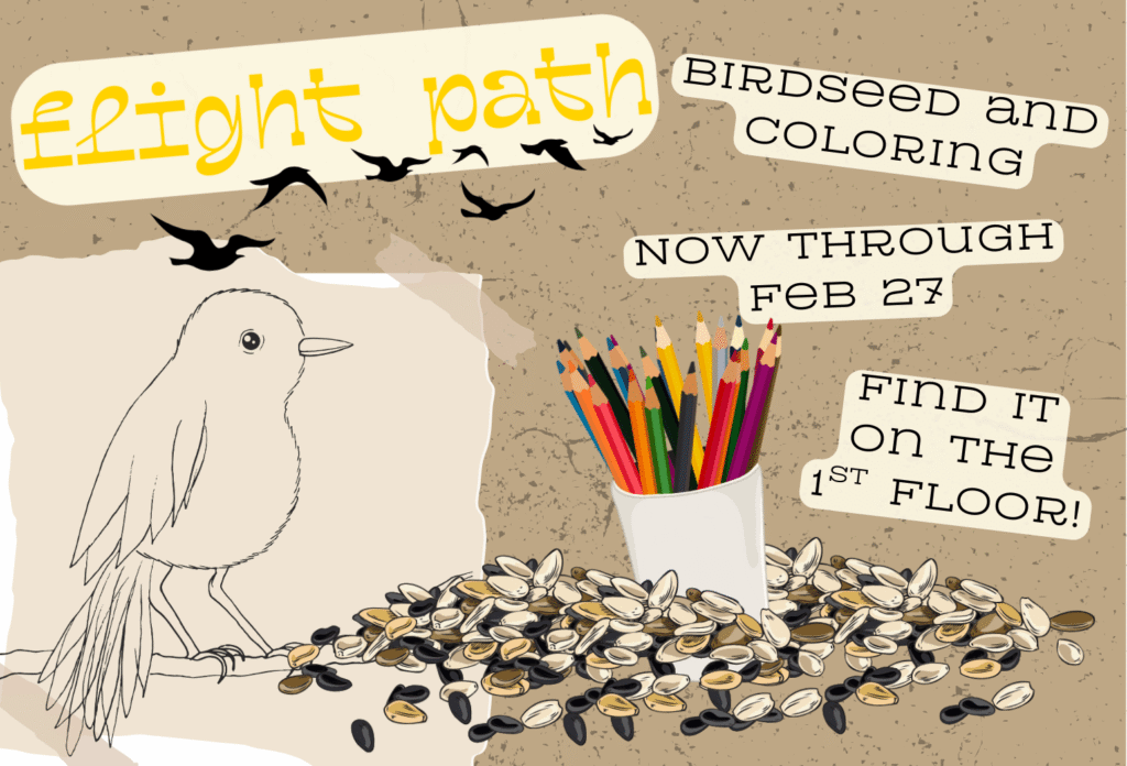 Birdseed And Coloring Plexi  1 