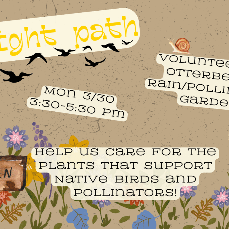 Image adorned with garden flowers, a garden sign, a robin perched on the sign, a bee, and a snail // Text reads, 