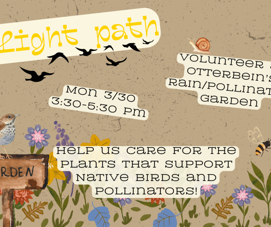 Image adorned with garden flowers, a garden sign, a robin perched on the sign, a bee, and a snail // Text reads, 