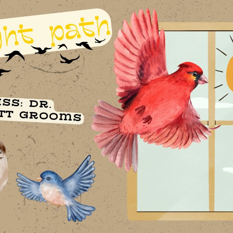 Images of small birds in front of a window with a hand-drawn sun outside it. Text reads: 