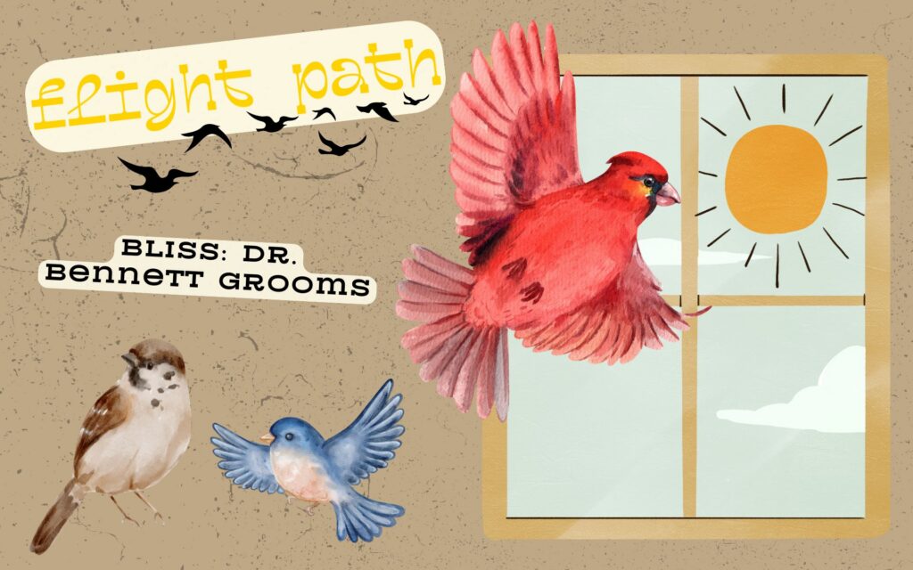 Images of small birds in front of a window with a hand-drawn sun outside it. Text reads: "Flight Path" and "BLISS: Dr. Bennett Grooms."