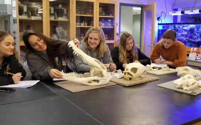 STEM Students Set Up for Success