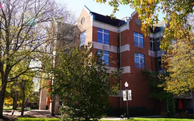 The More things Change the More They Stay the Same