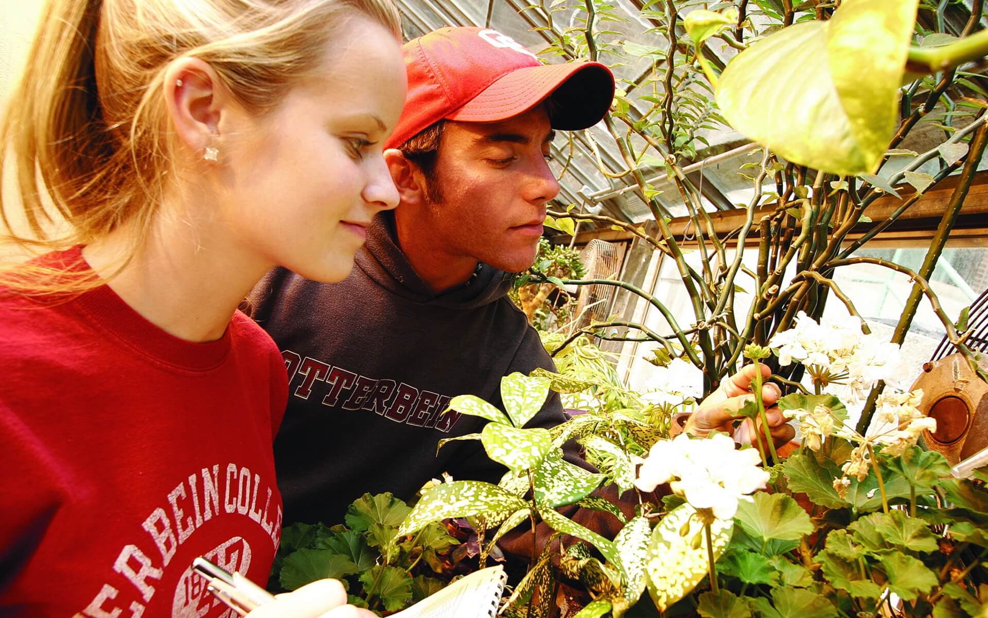 Students studying flora in a lab setting