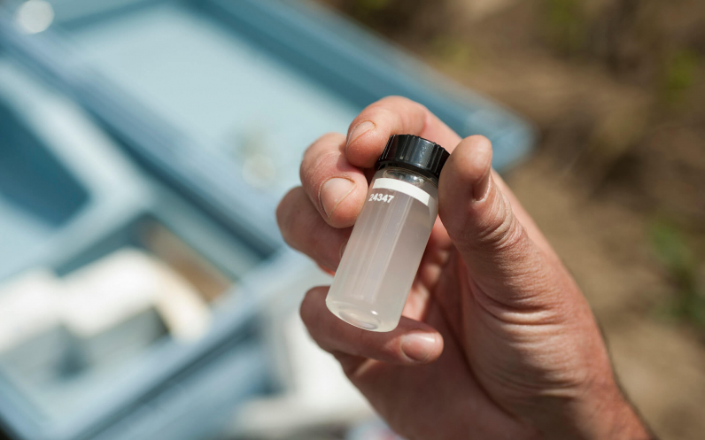 Pre-Professional Health Studies