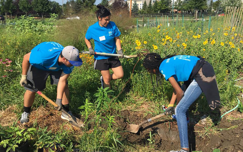 B.A. or B.S. in Sustainability Studies