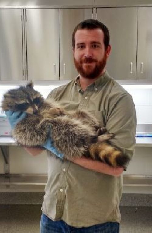Andrew Yoak Holds a Raccoon