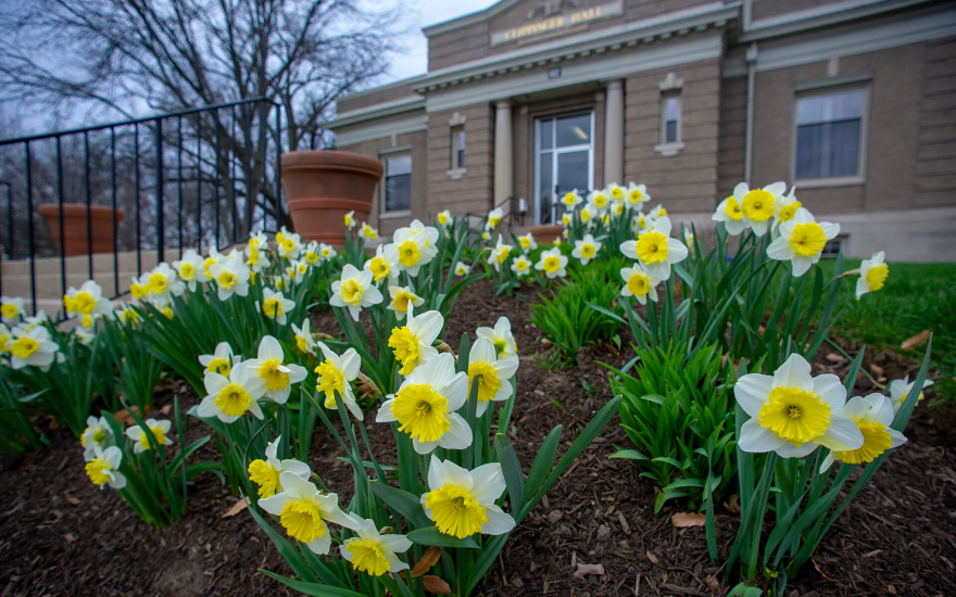 Flowers in Front of Clippinger Hall