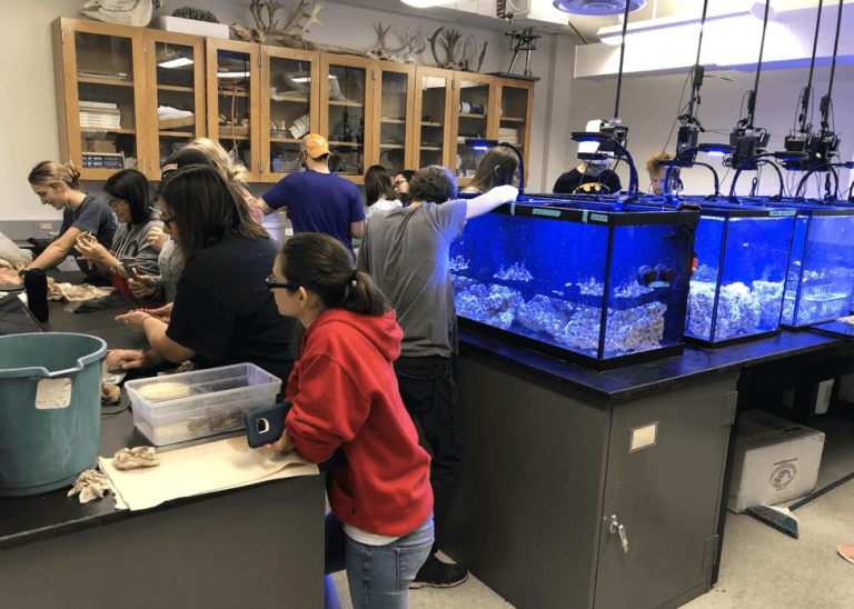 Zoo & Conservations Science Program Aquarium Track Otterbein University