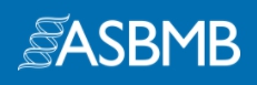 Asbmb