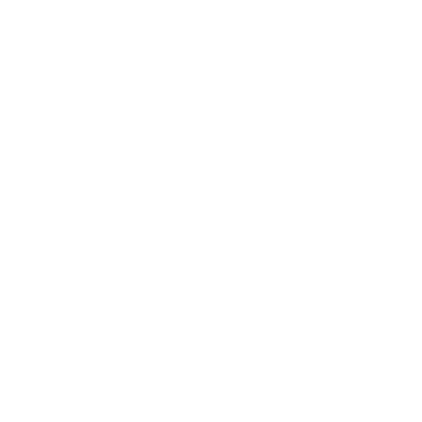Snowflake G