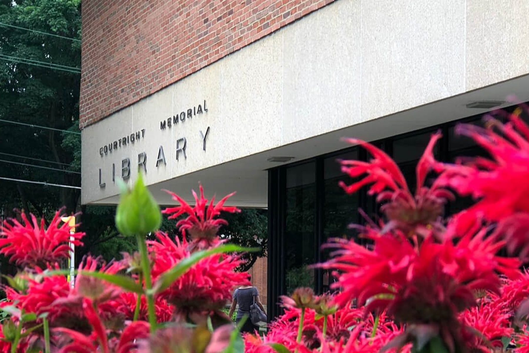 Courtright Memorial Library Celebrates 50th Birthday with New 24Hour