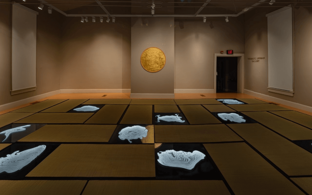 Empty Frank Museum installation