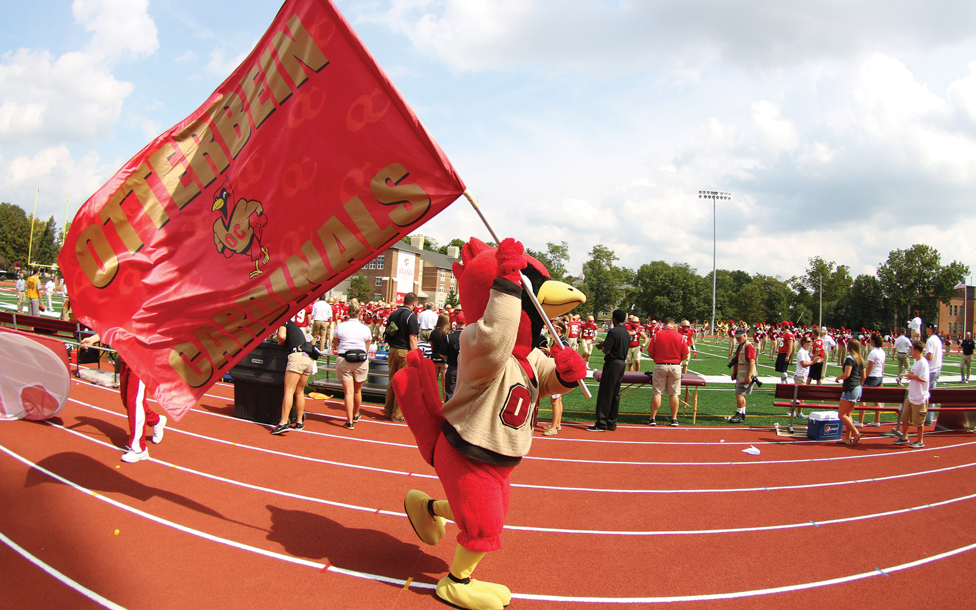 Director of Athletics Search Otterbein University