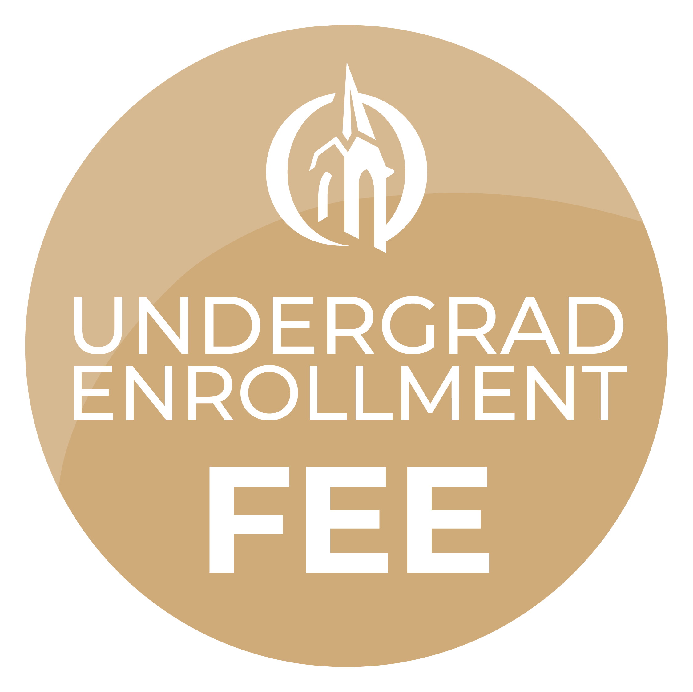 Undergraduate Enrollment Fee Button