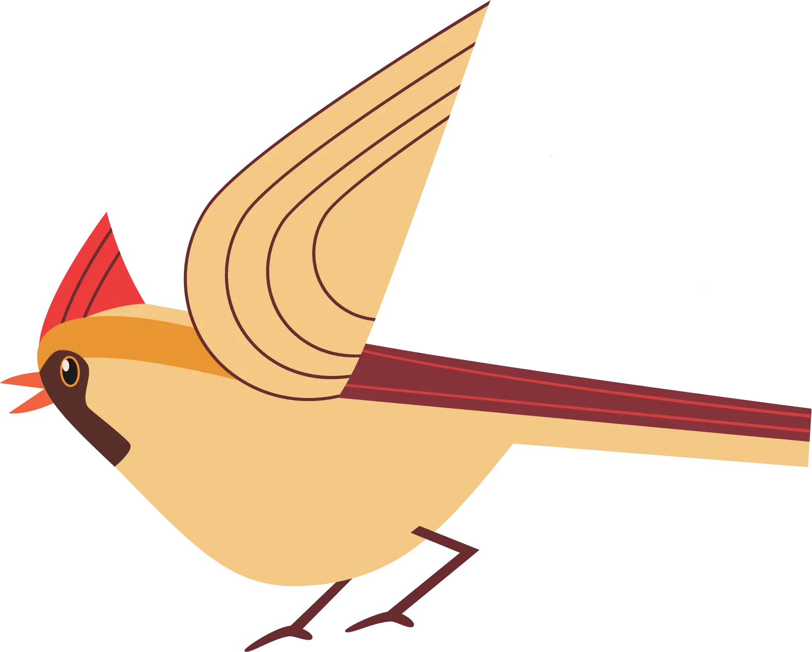 Cardinal 10
