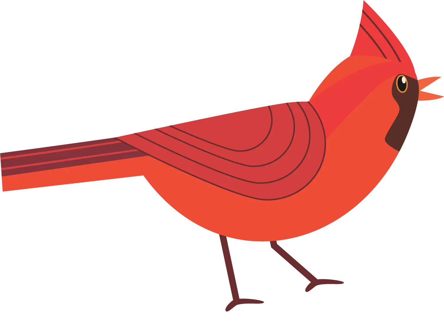 Cardinal 5