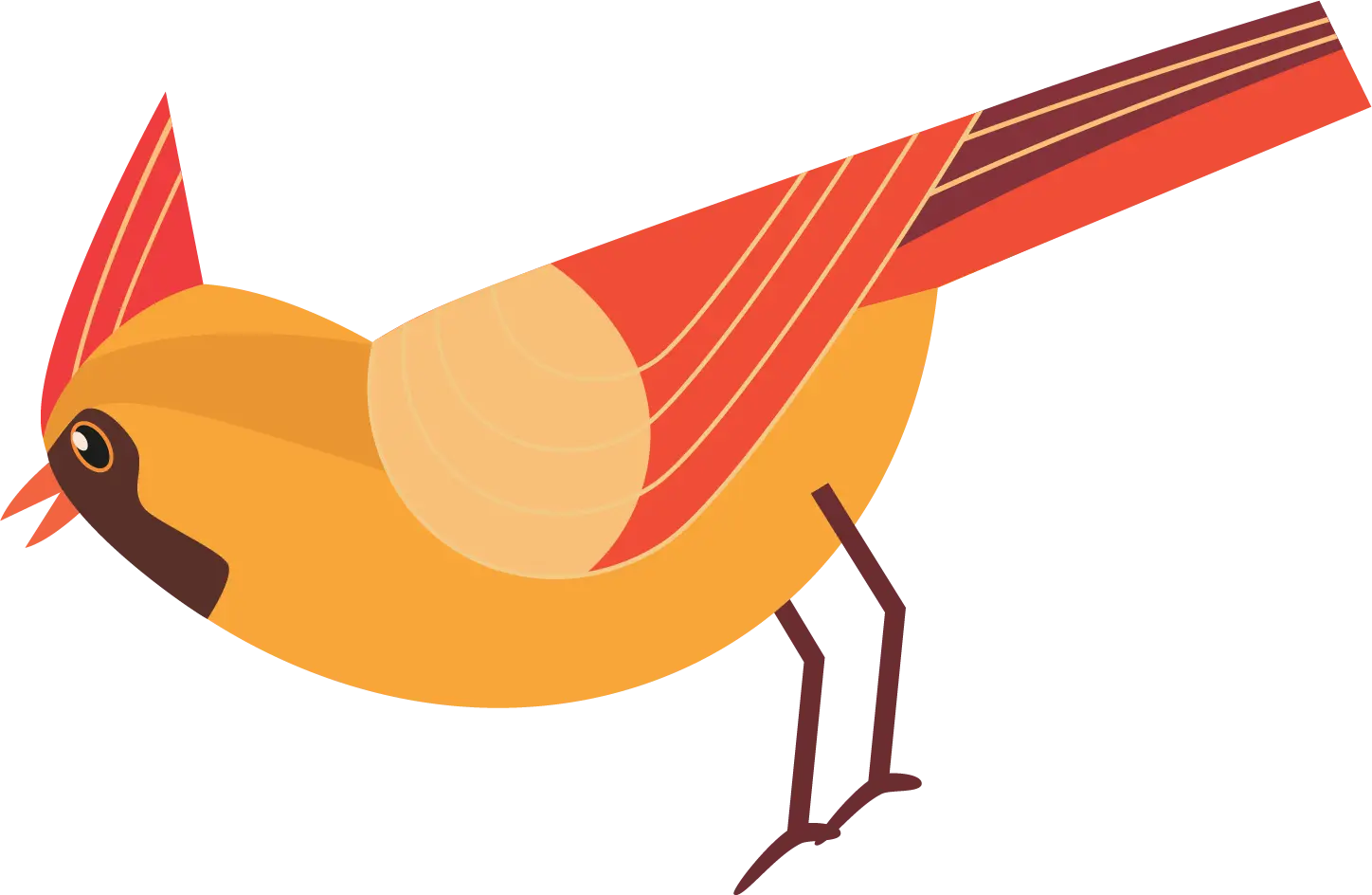 Cardinal 8