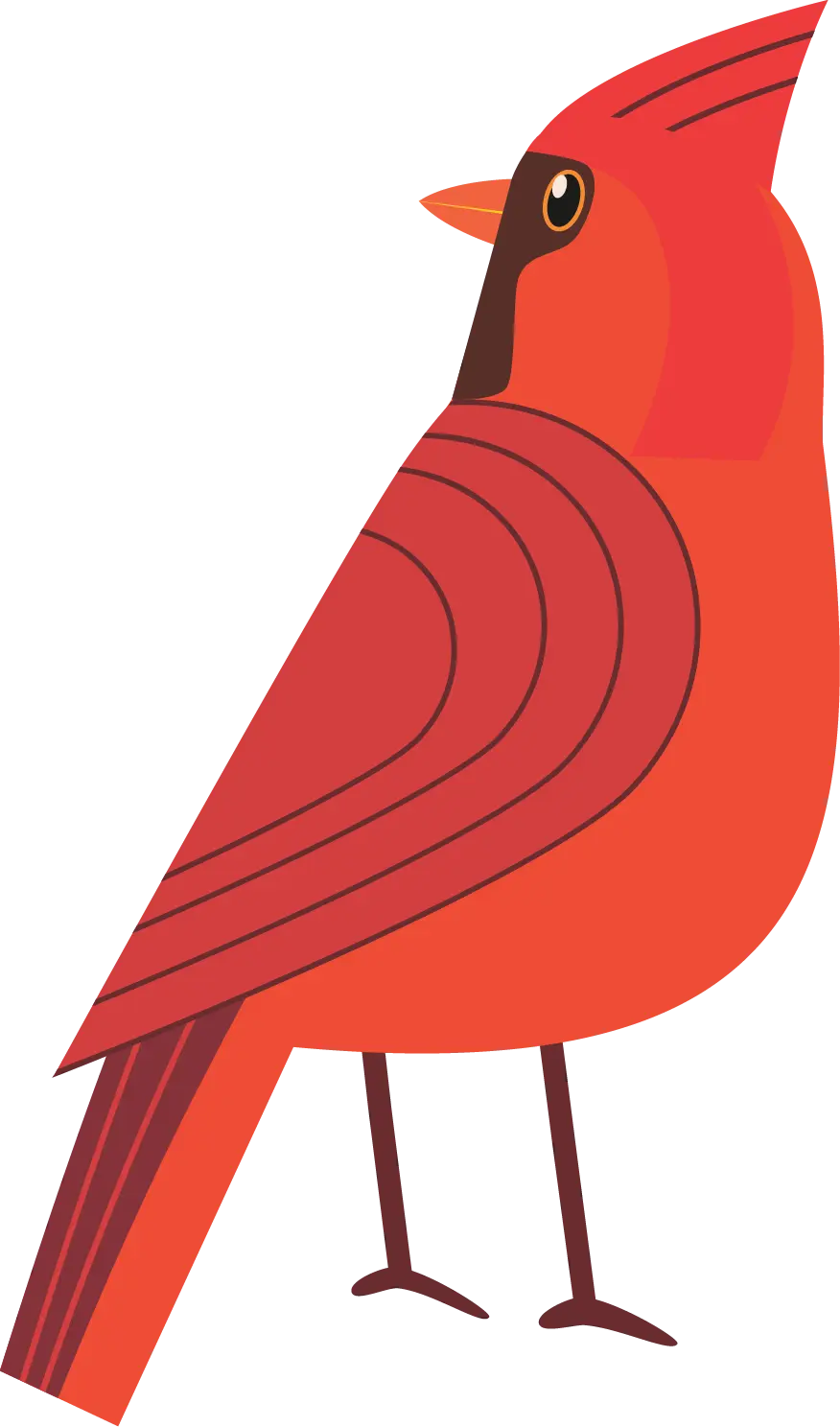 Cardinal1
