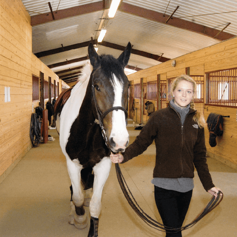 Knowlton Center For Equine Science Student With Horse At Barn
