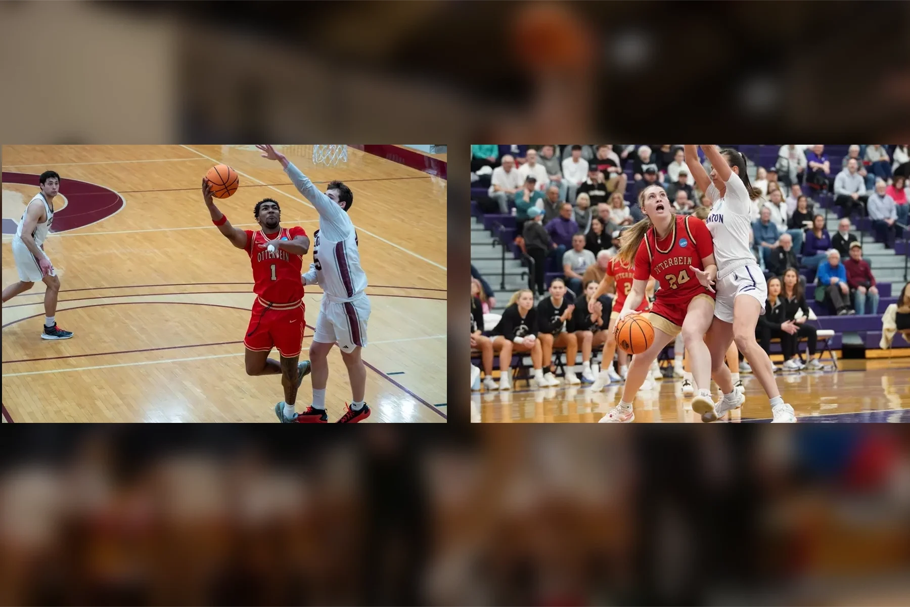 Memorable Basketball Seasons End For Otterbein University In Ncaa Round Two Feature Image
