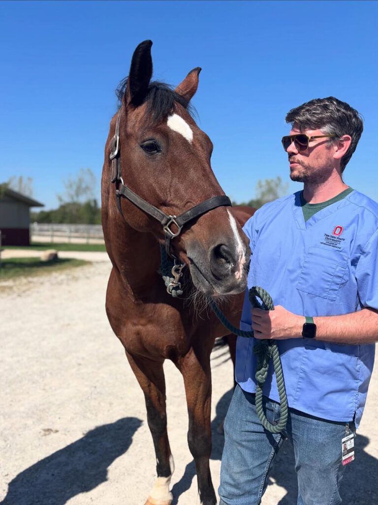 Ohio state student holding horse.. New Veterinary Mentoring Program Expands Ties Between Otterbein and Ohio State
