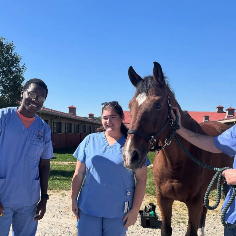 Students with Horse at Otterbein’s Austin E. Knowlton Center for Equine Science